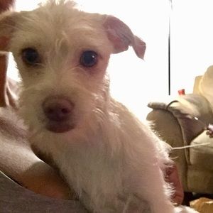 Meet your Posher, Jaylah